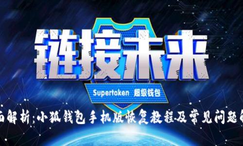 全面解析：小狐钱包手机版恢复教程及常见问题解答