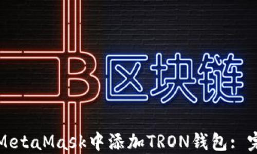 
如何在MetaMask中添加TRON钱包: 完整指南