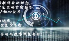 为数字钱包起名字是一项