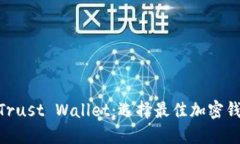 MetaMask与Trust Wallet：选择最