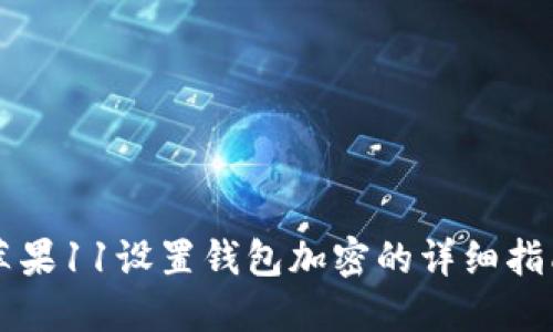 苹果11设置钱包加密的详细指南
