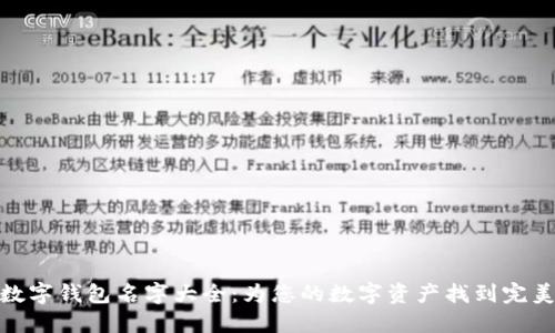 创意数字钱包名字大全：为您的数字资产找到完美称呼