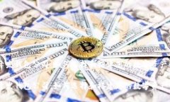 区块链开发钱包公司：如