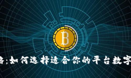 2023年数字钱包全攻略：如何选择适合你的平台数字钱包并最大化使用效率