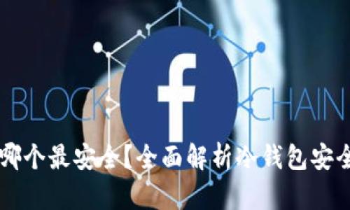 区块链冷钱包哪个最安全？全面解析冷钱包安全性与选择指南